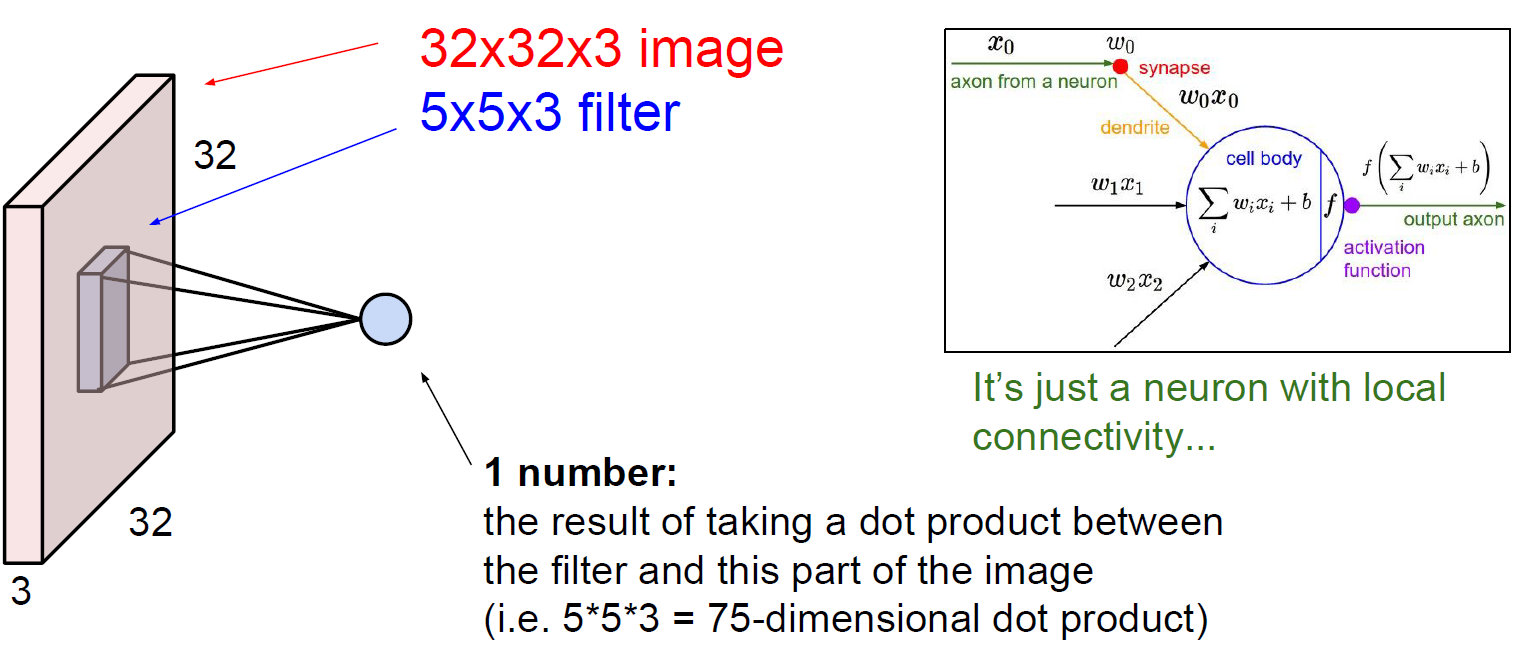 The brain/neuron view of CONV layers
